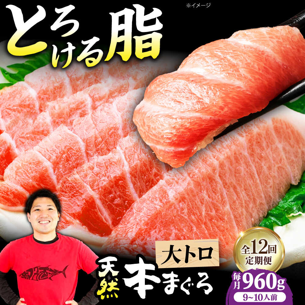 【ふるさと納税】【全12回定期便】極上！たね熟天然本まぐろ大トロ(960g) 天然 マグロ 鮪 大トロ 刺身 魚 魚介 大阪府高槻市/本まぐろ直売所[AOCE030]