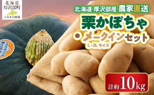 【2026年9月下旬より発送】栗かぼちゃ1個・メークインのセット 約10kg【L・2Lサイズ】 【 ふるさと納税 人気 おすすめ ランキング 野菜 セット かぼちゃ カボチャ 南瓜 栗かぼちゃ じゃがいも ジャガイモ メークイン カレー コロッケ 煮物 肉じゃが ポテトチップス フライドポテト ポテトサラダ じゃがバター シチュー 北海道 厚沢部 送料無料 】 ASO040