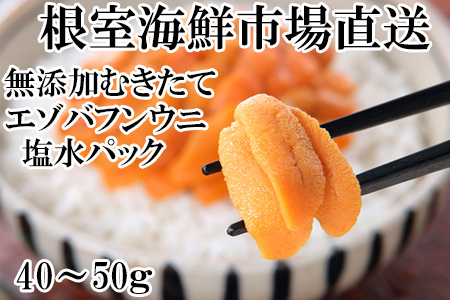 無添加むきたてエゾバフンウニ(赤系)塩水パック40～50g×1P[2026年1月中旬以降発送] G-11069