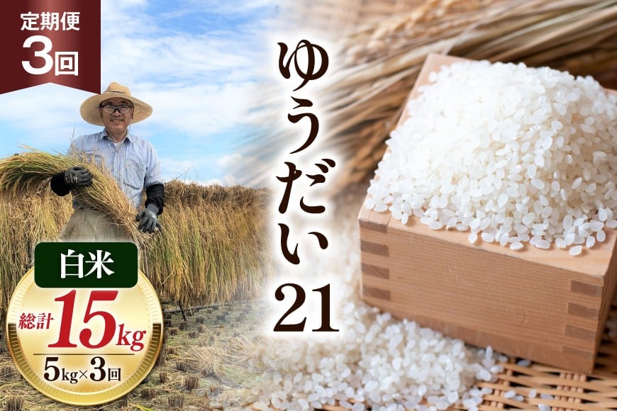 
            【3回 定期便】米 令和7年産 白米 ゆうだい21 5kg×3回 計15kg [穂足農園合同会社 山梨県 韮崎市 20745230] お米 ご飯 ごはん こめ コメ 美味しい 15キロ
          