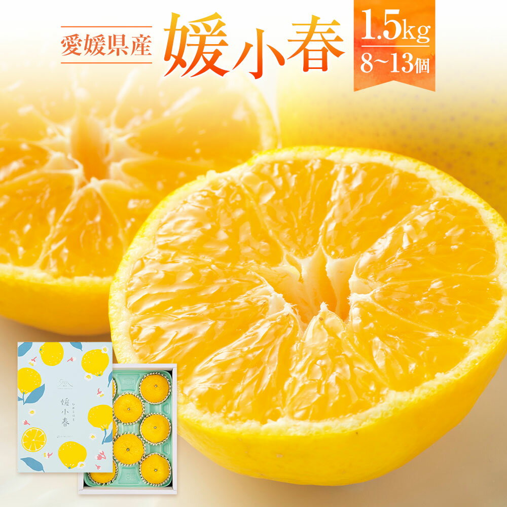【ふるさと納税】愛媛県産 媛小春 約1.5kg 8～13個 希少品種 みかん ミカン 蜜柑 柑橘 果物 くだもの フルーツ おやつ デザート 国産 愛媛県 送料無料【2026年1月下旬～2月上旬発送予定】(874)