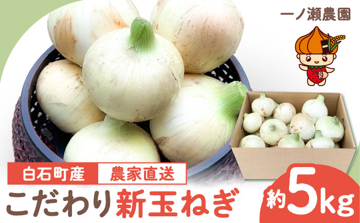 【農家直送！】こだわり 新玉ねぎ （サイズ混合） 約5kg 【一ノ瀬農園】玉葱 早生 佐賀 [IBQ003]