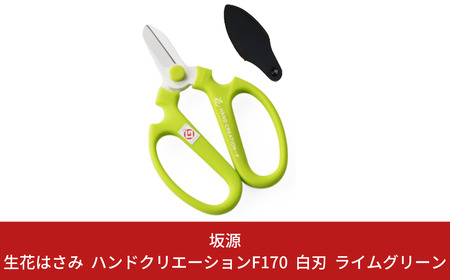 生花はさみ ハンドクリエーションF170 ライムグリーン 花ハサミ 園芸ハサミ 生花用 園芸用品 ガーデニング用品 [坂源] 【010S379】