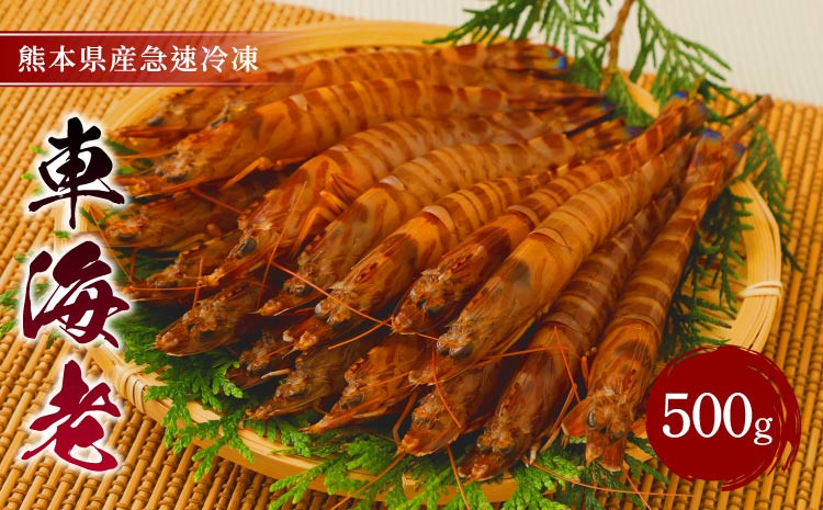 
            車海老 海老 500g (18～26尾) 生食可 瞬間冷凍
          
