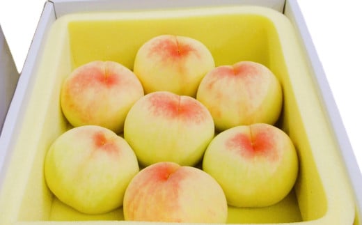 【訳アリ家庭用】清水白桃 2キロ【2026年7月上旬～7月下旬まで順次発送予定】【桃 白桃 人気フルーツ 人気桃 おすすめフルーツ 清水白桃 岡山フルーツ 岡山県 倉敷市】