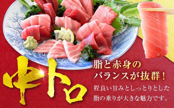 天然 まぐろ 中トロ＆赤身 各2柵（計約800g）【横須賀商工会議所 おもてなしギフト事務局（本まぐろ直売所 横須賀本店）】 [AKAK116]