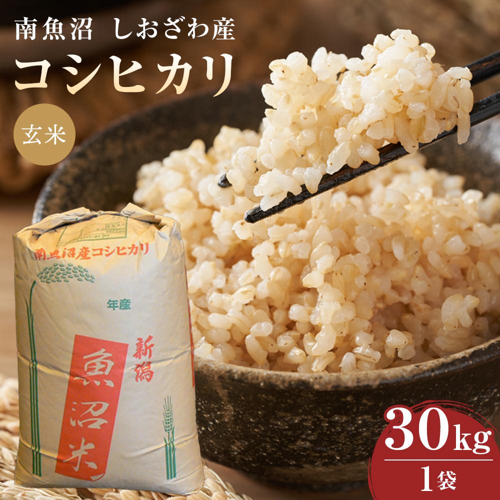 【ふるさと納税】【令和7年度産】30Kg玄米 南魚沼しおざわ産コシヒカリ《語り伝えられる地》 | お米 こめ 食品 コシヒカリ 人気 おすすめ 送料無料 魚沼 南魚沼 南魚沼市 新潟県 玄米 産直 産地直送 お取り寄せ