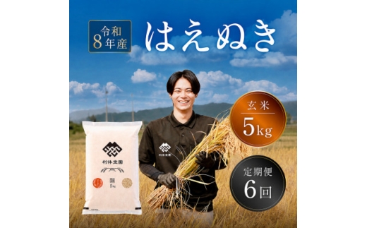 ＜発送月固定定期便＞はえぬき(玄米) 5kg 山形県産全6回【4091169】