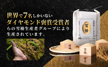 【頒布会】令和6年産新米予約 期間限定 最高級魚沼産コシヒカリ「雪椿」10kg×全6回　特別栽培米