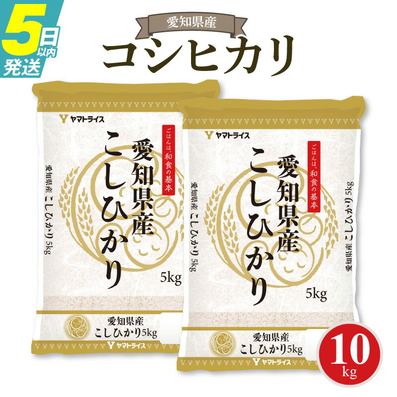 【ふるさと納税】数量限定 愛知県産コシヒカリ 10kg(5kg×2袋)　安心安全なヤマトライス お米 弁当 おにぎり 食品 食べ物 常温 お取り寄せ 送料無料 愛知県 碧南市