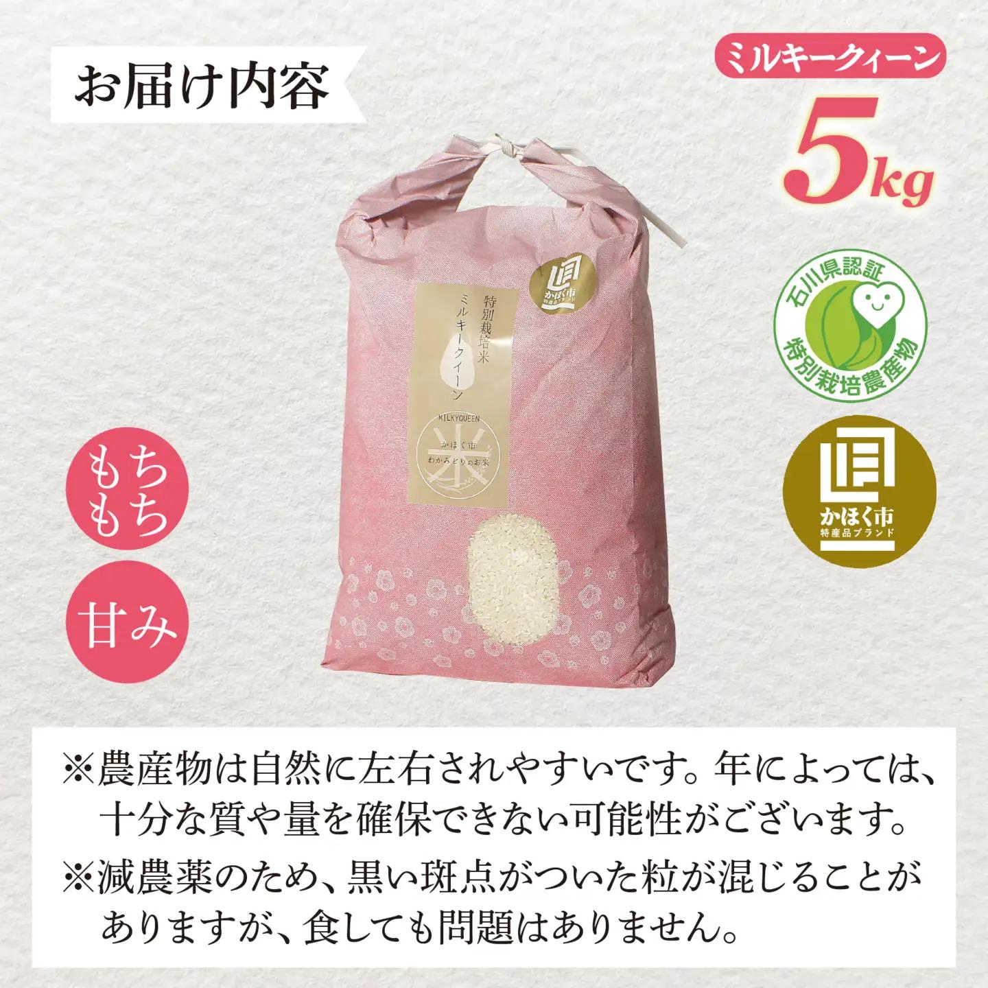 【先行予約】ミルキークイーン 5kg 【2027年1月発送】/ 令和8年産 白米 精米