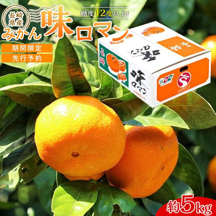 【ふるさと納税】【糖度12度以上！】長崎県産 みかん 味ロマン 約5kg ＜期間限定／先行予約＞【2025年11月中旬以降順次発送】 | 5キロ フルーツ 果物 先行受付 長崎 九州 送料無料 人気 おすすめ 特産品 数量限定 ブランドみかん 極早生みかん 早生みかん 温州みかん
