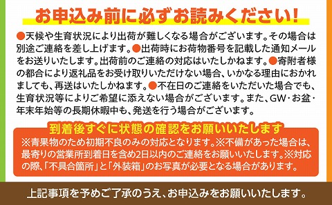 《2025年発送》【期間・数量限定】【訳あり】 完熟マンゴー 合計約1kg (2～3玉)_M126-026