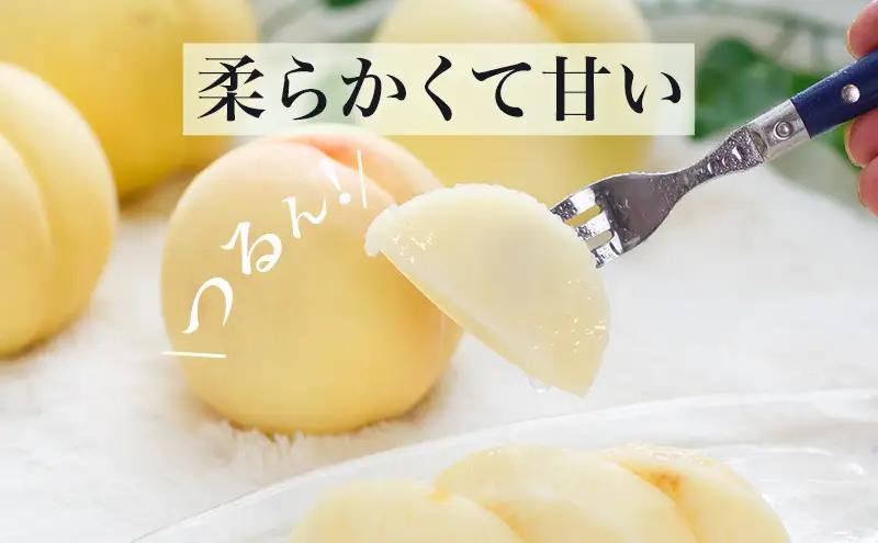 フルーツ詰合せ 白桃・ニューピオーネ 化粧箱入り 岡山県産 フルーツ詰合せ【白桃2玉 ピオーネ2房】【先行予約】