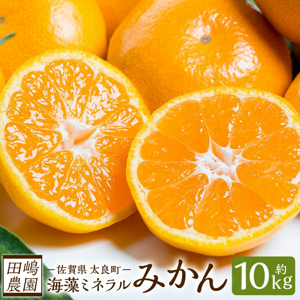 【ふるさと納税】海藻ミネラルみかん 10kg N40x1 【2026年10月下旬～2027年1月上旬迄発送予定】