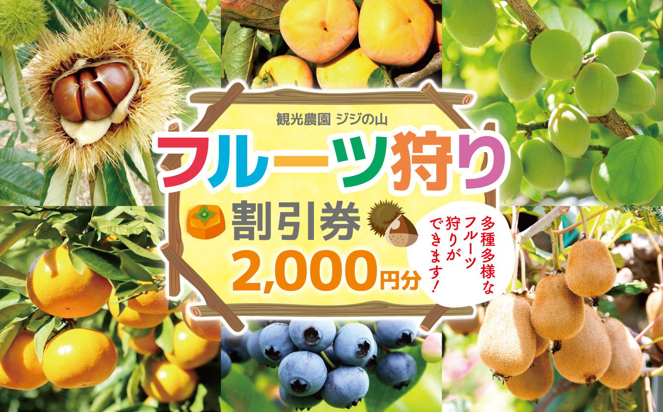 
            フルーツ狩り利用券 2000円分 | 観光農園ジジの山 フルーツ ブルーベリー キウイフルーツ 柿 栗 柑橘 子ども 家族 イベント チケット 利用券  観光 千葉県 君津市
          