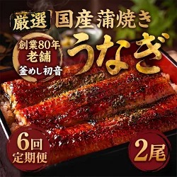 【定期便6回】70年継ぎ足しの秘伝のたれ！初音の厳選高知県産うなぎ蒲焼き2尾（1尾約190g～220g）＿ 国産 うなぎ 鰻 蒲焼き かば焼き タレ付き 高知県産 冷凍 海鮮 うな重 ひつまぶし 人気
