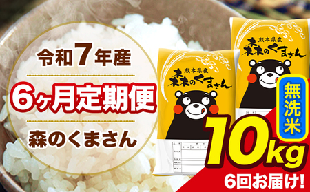 米 令和7年産 森のくまさん 無洗米 10kg 5kg×2袋 計6回お届け 《お申込み翌月から出荷》 お米 こめ 熊本県産 ご飯 備蓄