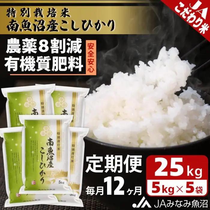 【JAみなみ魚沼定期便】特別栽培米南魚沼産こしひかり8割減（25kg×全12回）精米｜こしひかり