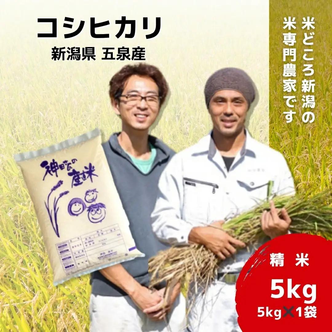 【先行予約】令和8年産 コシヒカリ 5kg わくわく農場 こしひかり | 新潟県 五泉市 コシヒカリ