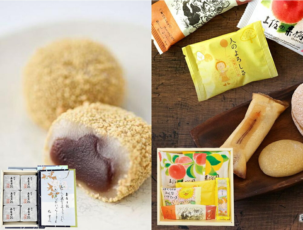 【ふるさと納税】 菓子 高知 土佐銘菓セット