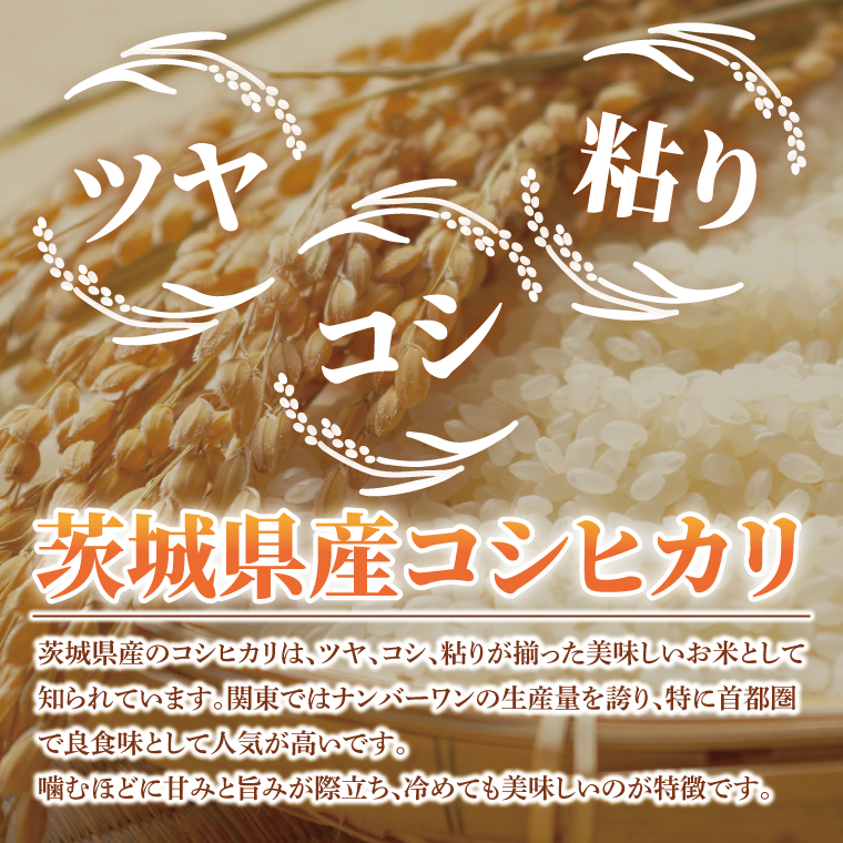 令和7年産 特別栽培農産物認証 コシヒカリ 精米 ５kg 特栽米 ネオニコフリー 減農薬 減化学肥料 安心 安全 こしひかり 白米 弁当 おにぎり オニギリ 有機肥料 特別栽培米 エコ農産物 茨城県産