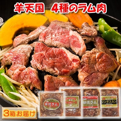 子羊の味わい　～4種のラム肉　3箱セット～[No.5217-0096]