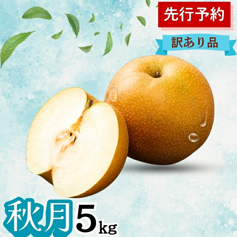 【ふるさと納税】秋月 5kg 訳あり(12～14個入) 秋田県 能代市 梨 なし ナシ 果物 フルーツ 厳選 訳あり 甘い 果実 果汁　お届け：2026年10月1日～2026年10月20日まで