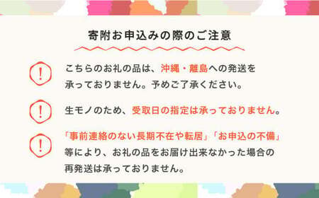先行予約 2025年産 さくらんぼ 佐藤錦 L 秀 500g スリーブ箱  山形県産 フルーツ 果物 くだもの サクランボ sb-snslx500 ※沖縄・離島への配送不可