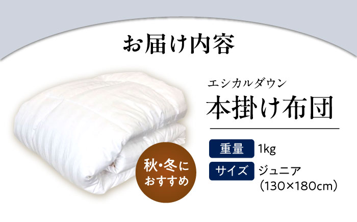 洗える 人工羽毛布団 掛け布団 〈ジュニア〉人工羽毛 エントリーモデル  広島県福山市/イシケン株式会社 2枚組 羽毛布団 羽毛ふとん 肌掛け 日本製 オールシーズン 掛布団 寝具 アレルギー対策 [