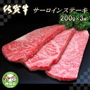 【ふるさと納税】佐賀牛サーロインステーキ200g×3枚 【牛肉 牛 サーロイン ロース ステーキ 霜降り 高級 佐賀県産 キャンプ アウトドア 贈り物 ギフト】(H065105)