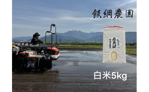 
                  【令和7年産】南魚沼産コシヒカリ 白米5kg【銘柄米 ブランド米 精米 こしひかり コシヒカリ 魚沼産 新潟米 産地直送 お米 米 こめ コメ ご飯 御飯 ごはん】
                