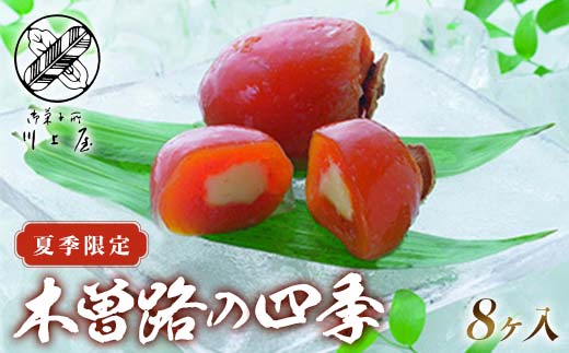 御菓子所 川上屋 (夏季限定) 木曽路の四季 F4N-1910