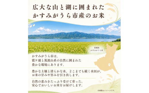 ＜毎月定期便＞お米屋さんのコシヒカリ 精米 10kg(5kg×2)  全6回【4094331】