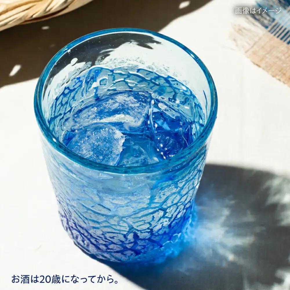 泡盛 琉球泡盛 琉球パック 30度 1800ml×2 BCAS006 アルコール