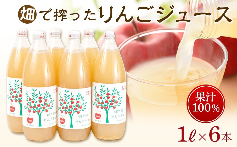 
            りんご ジュース 6本 × 各1000ml 大町産 | ジュース 農家直送  果汁100%  大容量 国産りんご 人気 おすすめ 飲料 フルーツ 朝食 美容 健康 ギフト 送料無料 長野県 大町市 ふるさと納税
          