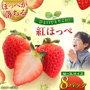 【ふるさと納税】いちご 紅ほっぺ 2kg （270g×8パック）【先行予約】【2025年1月初旬より順次発送】\レビューキャンペーン中/大洲市/沢井青果[AGBN027] い ちご 冷凍 イチゴ 苺 フルーツ 果物 くだもの ふるーつ 20000円 20000 二万 二万円