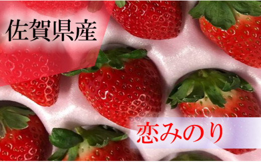 
【佐賀県産】恋みのり約350g(9～18粒)
