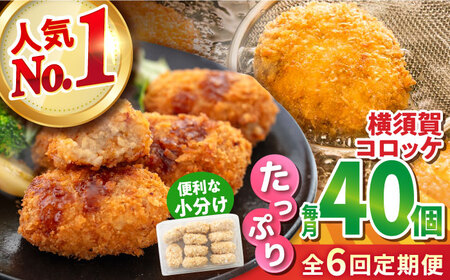 【全6回定期便】横須賀コロッケ 40個 1.8kg ころっけ 冷凍 揚げ物 惣菜 コロッケ 横須賀【有限会社丸伸商事】 [AKFH016]