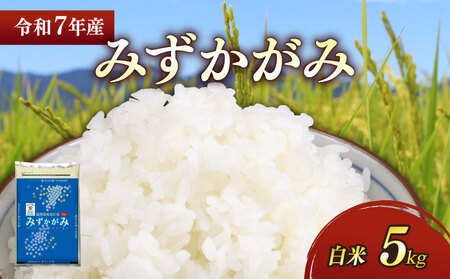 令和7年産 新米 彦根産 みずかがみ 5kg 白米 みずかがみ みずかがみ