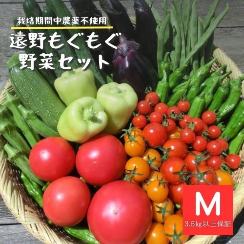 【ふるさと納税】自然農法 自然栽培 夏野菜 セット Mサイズ 約 9~12種類 3.5kg以上保証 農家朝採り直送 遠野もぐもぐカントリー 栽培期間中 農薬不使用