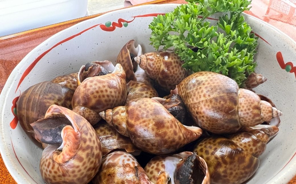 【季節限定】【600g】黒ばい貝水煮（冷凍）200g×3袋