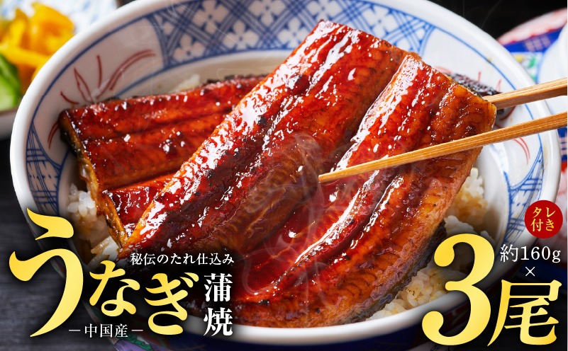 秘伝のたれ仕込み うなぎ蒲焼 合計480g（約160ｇ×3尾）鰻 ウナギ 中国産 温めるだけ 簡単 レンジ調理 ふっくらふわふわ 炭火焼き 備長炭 手焼き