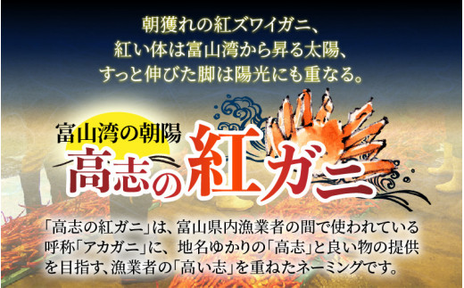 【順次配送中】ボイル紅ズワイガニ 【25年度9月下旬以降順次配送】【川村水産】※発送前に在宅確認の電話連絡をいたします!　新鮮でみずみずしい甘さがぎゅっと詰まった「富山湾の朝陽」