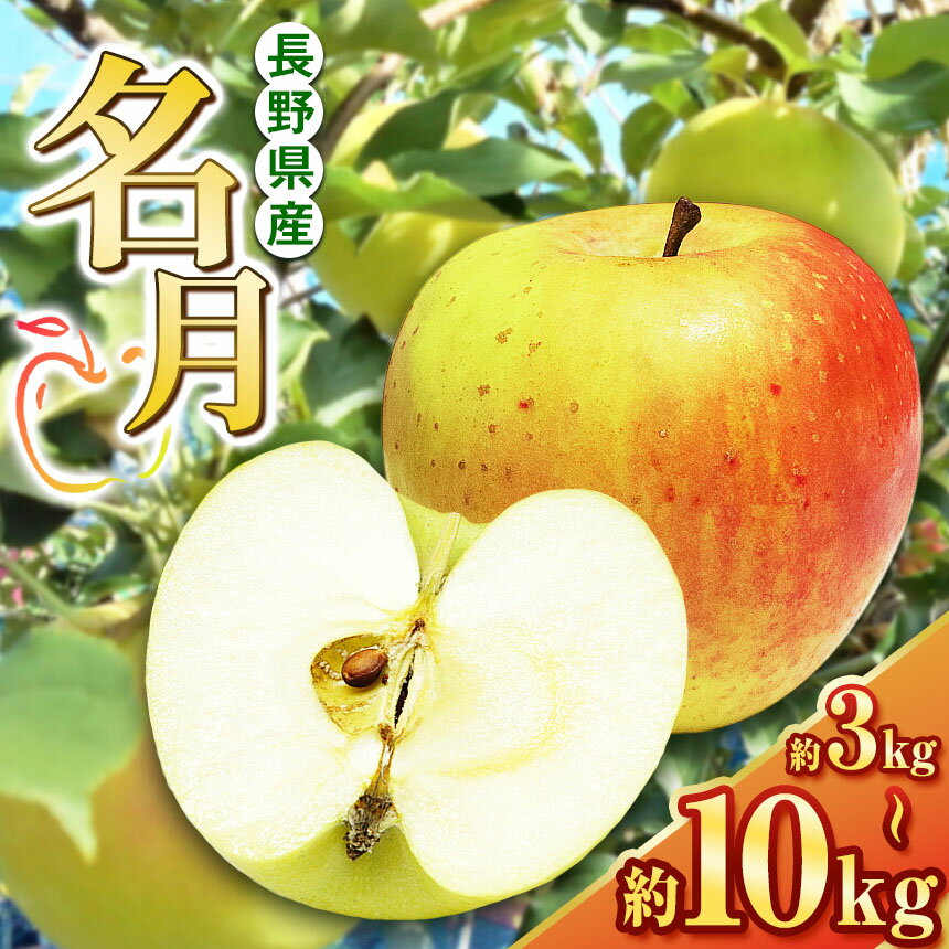 【ふるさと納税】10月下旬発送【選べる】名月 3kg～10kg(9～36玉) | ふるさと納税 果物 くだもの フルーツ 名月 リンゴ りんご 林檎 信州産 長野県 松本市