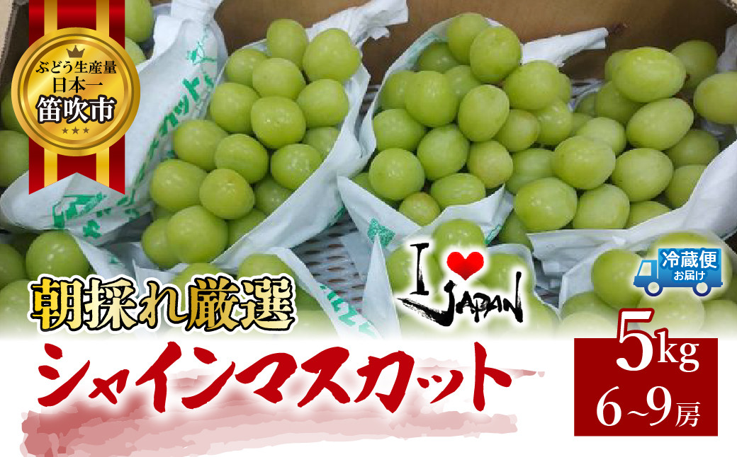 
            ＜25年発送先行予約＞【自社農園から直送】朝採れシャインマスカット5kg(6～9房） 082-022
          