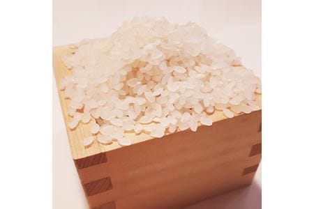 【令和7年度産】《新米》大和米　奈良県広陵町産ヒノヒカリ　七分づき米10kg /// ひのひかり ヒノヒカリ ブランド米 白米 ご飯 お米 大和米 おにぎり おむすび 安心 安全 美味しい 人気 直送