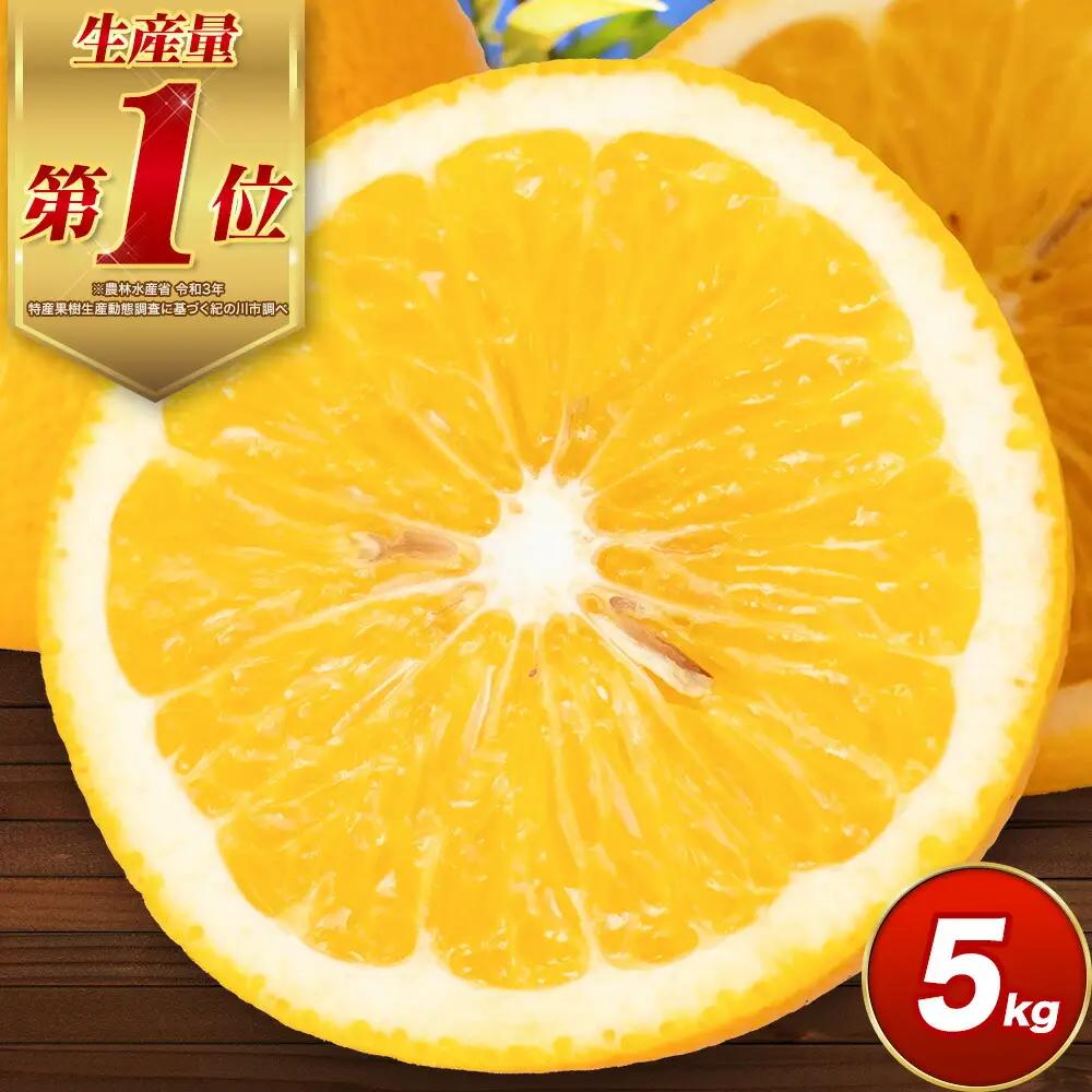 訳あり はっさく八朔約5kg