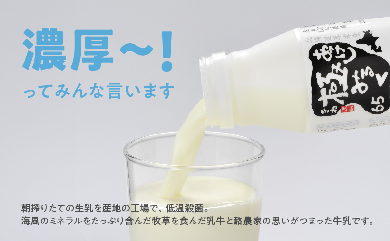 3ヵ月 定期便 北海道 厚岸産 牛乳 あっけし極みるく65 900ml×6