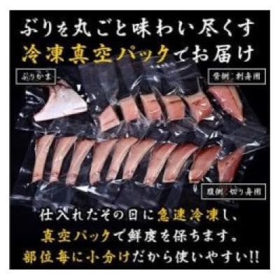 ふるさと納税 羅臼町 ぶり三昧(2)【半身分】小分け真空パック【北海道羅臼町】 |  | 01